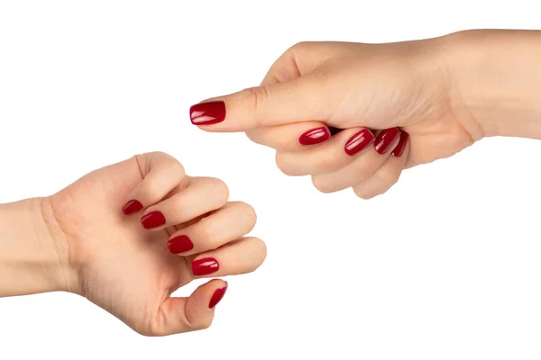 白い背景に隔離されたワインの赤い爪を持つ女性の手 赤いネイルポーランド語 スクエアネイルフォーム ストック写真