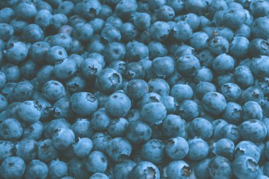 Fresh blueberry as a background. Texture blueberry berries close up.