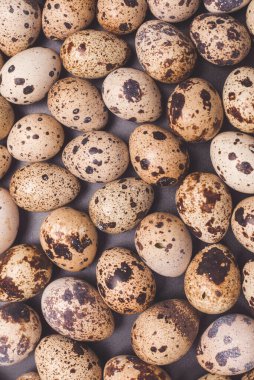 Arka plan olarak bir grup bıldırcın yumurtası. Çiğ yumurta..