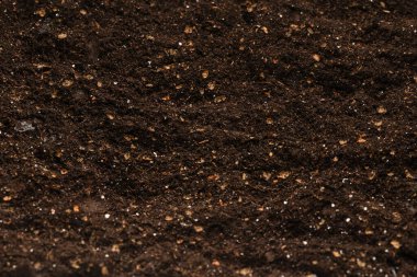 Bitkiler için kara toprak. Üst görünüm. 