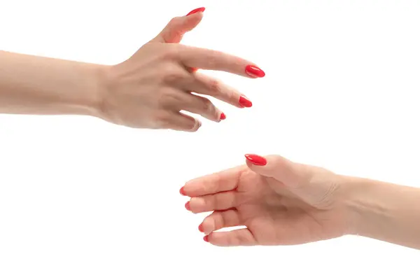 白い背景に隔離された何かを保持赤い爪を持つ女性の手 ロイヤリティフリーのストック写真