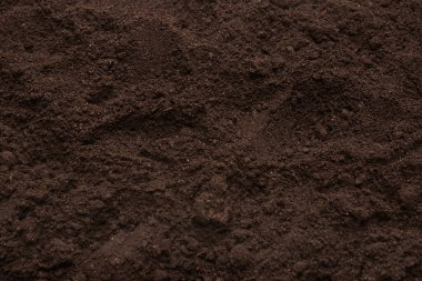 Bitkiler için kara toprak. Üst görünüm. 