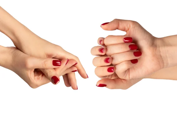 白い背景に隔離されたワインの赤い爪を持つ女性の手 赤いネイルポーランド語 スクエアネイルフォーム ストックフォト