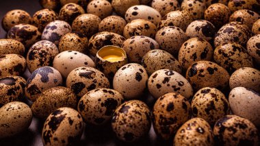 Arka plan olarak bir grup bıldırcın yumurtası. Çiğ yumurta..
