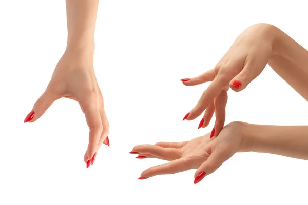 Женские Руки Красными Ногтями Изолированы Белом Фоне Красный Лак Лицензионные Стоковые Изображения