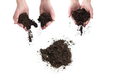 Kadınların elindeki kahverengi toprak beyaz arka planda izole edilmiş. Toprak elimizden kayıp gidiyor..