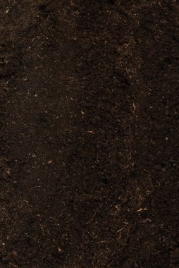 Bitkiler için toprak beyaz arka planda izole edildi. Toprak deseni.