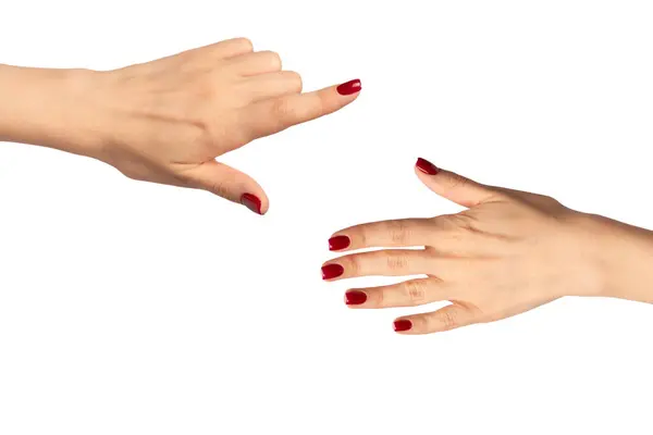 Женщина Руки Вином Красного Цвета Ногтей Изолированы Белом Фоне Красный Лицензионные Стоковые Изображения