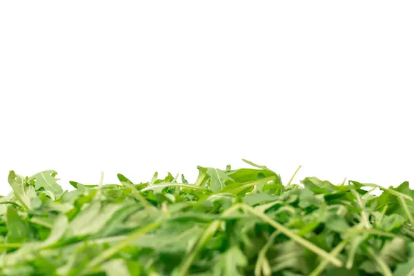 Fresh Leaves Arugula Background Top View Healthy Food Stock Image