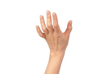 Kadın elleri beyaz bir arka planda izole edilmiş. Çıplak tırnak cilası. 