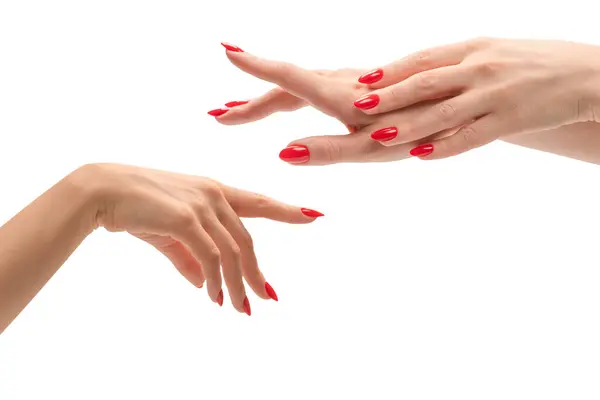 Beyaz bir arka planda soluk tenli, kırmızı tırnaklı ya da dokunaklı kadın elinin yakın çekimi.. 