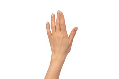 Kadın elleri beyaz bir arka planda izole edilmiş. Çıplak tırnak cilası. 