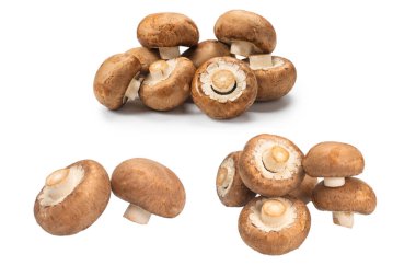 Beyaz arka planda izole edilmiş lezzetli mantar..