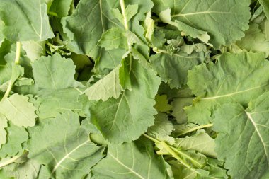 Arka plan olarak taze salata karışımı. Üst görünüm. 