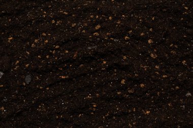 Bitkiler için kara toprak. Üst görünüm. 