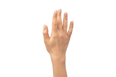 Kadın elleri beyaz bir arka planda izole edilmiş. Çıplak tırnak cilası. 