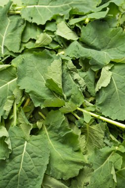 Arka plan olarak taze salata karışımı. Üst görünüm. 