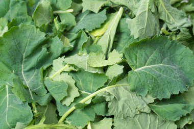 Arka plan olarak taze salata karışımı. Üst görünüm. 