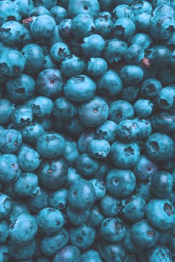 Fresh blueberry as a background. Texture blueberry berries close up.