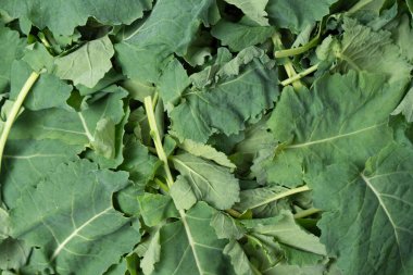 Arka plan olarak taze salata karışımı. Üst görünüm. 