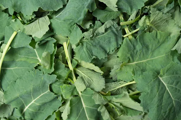 Arka plan olarak taze salata karışımı. Üst görünüm. 