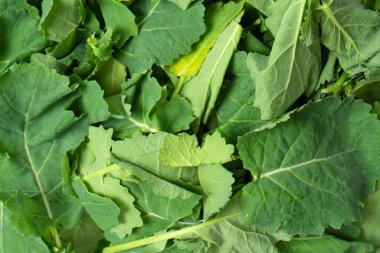 Arka plan olarak taze salata karışımı. Üst görünüm. 