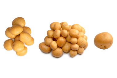 A group of fresh tasty potato isolated on a white background. 