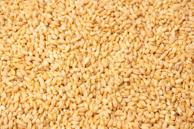 Arkaplan olarak buğday taneleri. Üst görünüm. 