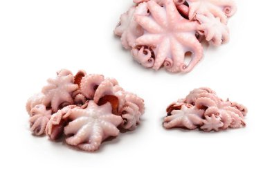 Ahtapot beyaz arkaplanda izole edildi. 