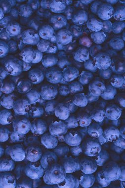 Fresh blueberry as a background. Texture blueberry berries close up.