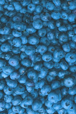 Fresh blueberry as a background. Texture blueberry berries close up.