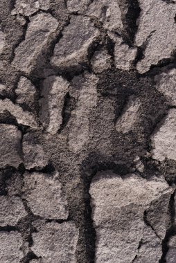 Çatlak toprak ve yeşil çimenler doku olarak kullanılıyor. Bahar. Üst görünüm. 