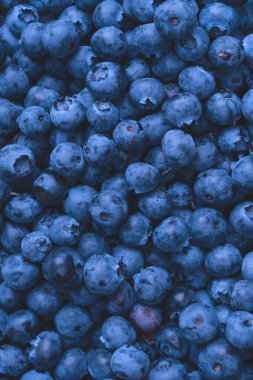 Fresh blueberry as a background. Texture blueberry berries close up.