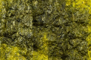 Arka plan olarak lezzetli bir yosun. Üst görünüm.