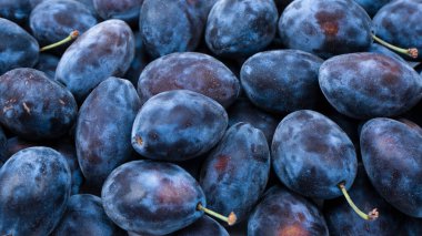 Taze erikler. Üst Manzara. Organik yiyecekler.