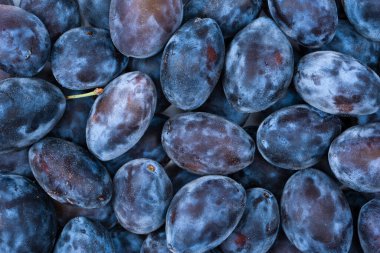 Taze erikler. Üst Manzara. Organik yiyecekler.