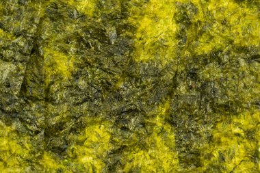 Arka plan olarak lezzetli bir yosun. Üst görünüm.