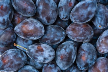 Taze erikler. Üst Manzara. Organik yiyecekler.