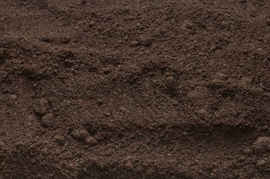 Bitkiler için kara toprak. Üst görünüm. 