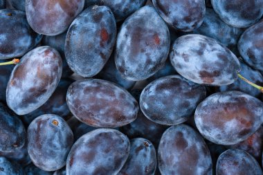 Taze erikler. Üst Manzara. Organik yiyecekler.