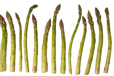 Kuşkonmaz beyaz bir arkaplanda izole edilmiş. 