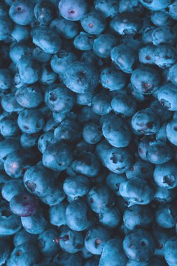 Fresh blueberry as a background. Texture blueberry berries close up.