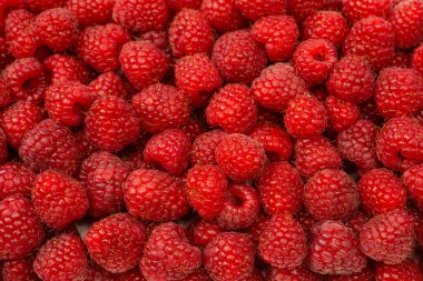 Arka plan olarak lezzetli taze ahududu. Üst görünüm.  