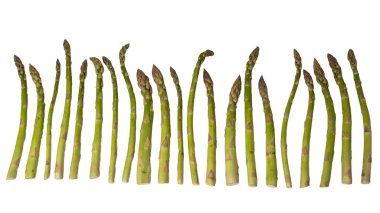 Kuşkonmaz beyaz bir arkaplanda izole edilmiş. 