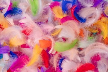 Renkli tüy arka plan, üst manzara. Boşluğu kopyala.