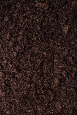 Bitkiler için kara toprak. Üst görünüm. 