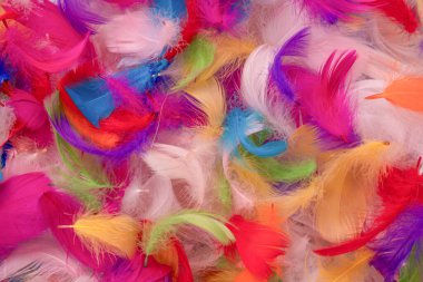 Renkli tüy arka plan, üst manzara. Boşluğu kopyala.