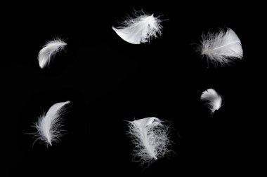 Siyah bir arkaplanda beyaz yüzen tüy izole. 