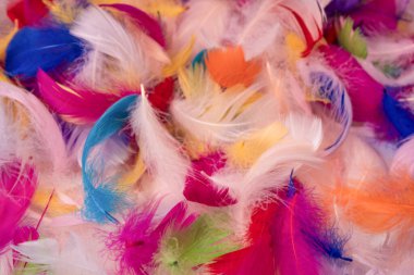 Renkli tüy arka plan, üst manzara. Boşluğu kopyala.