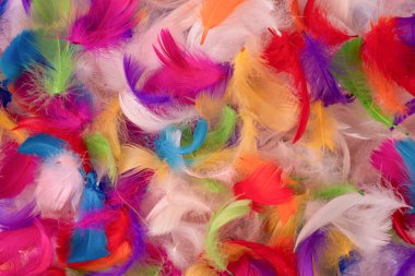 Renkli tüy arka plan, üst manzara. Boşluğu kopyala.